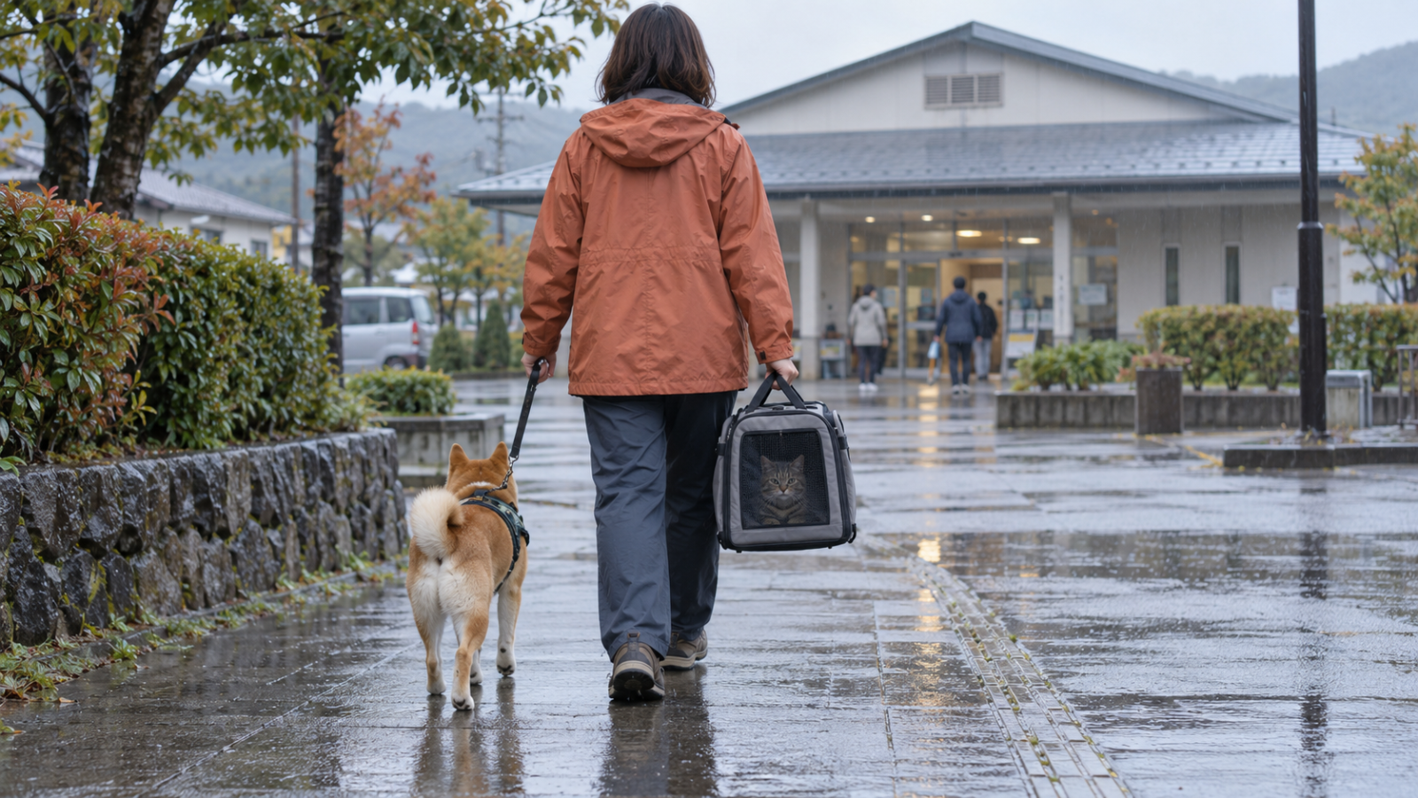 【台風・大雨に備える】犬と猫と一緒に避難できますか? 避難所の確認と在宅避難の備え