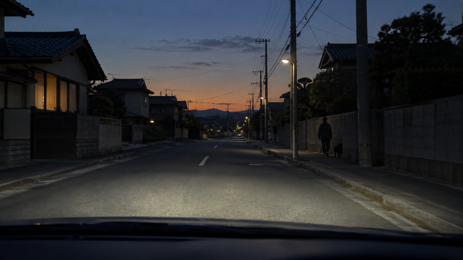 【日が短くなる秋】犬の夕方・夜の散歩は「見えていない」前提で。暗い道の危険と反射材の使い方