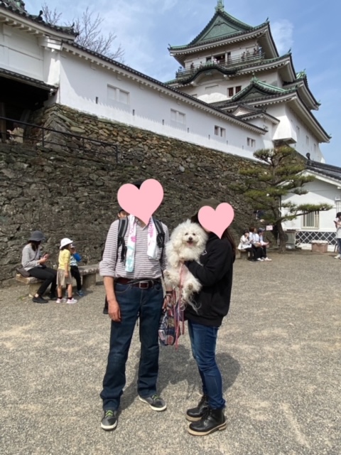 わんことおでかけスポット