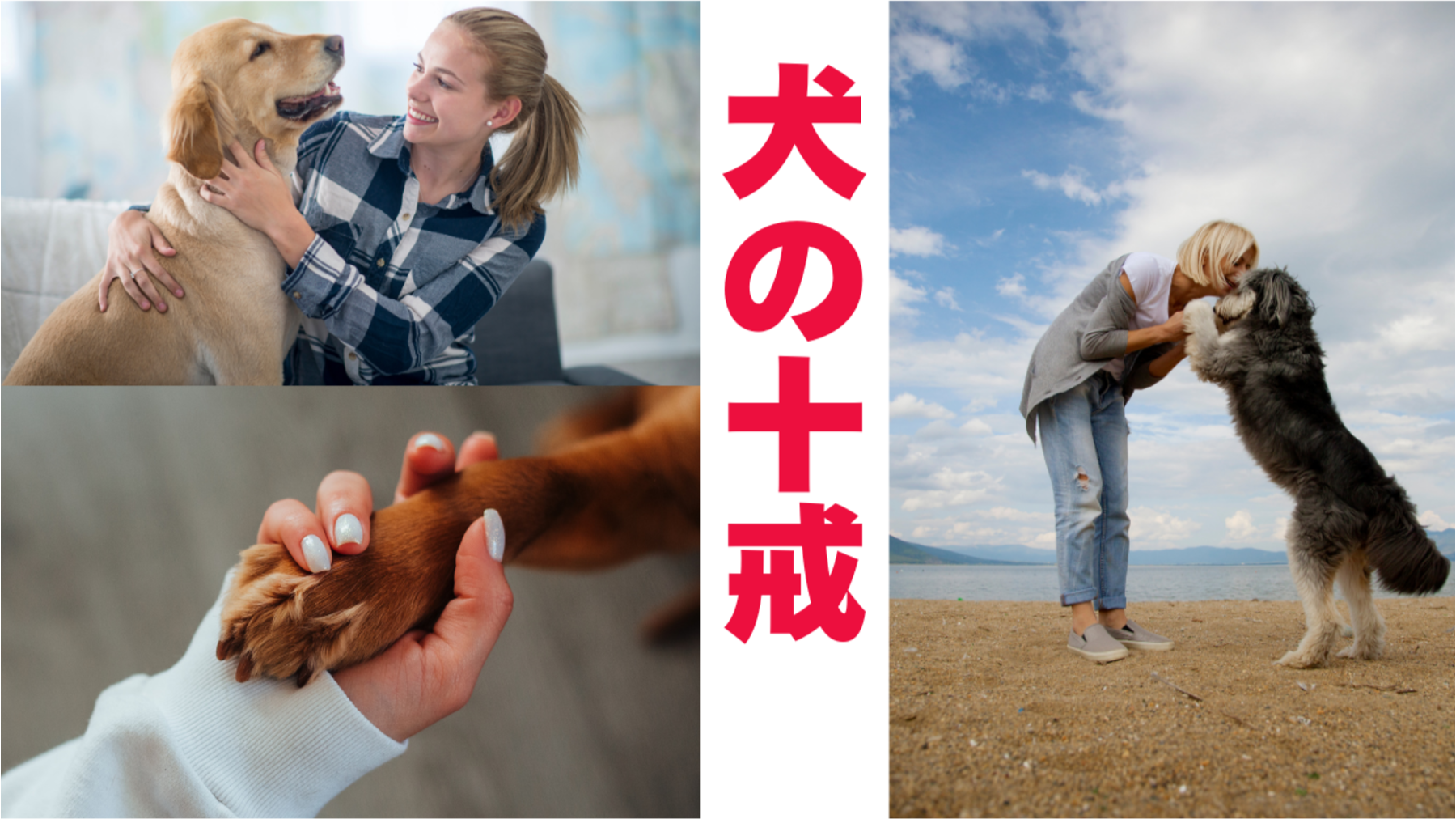 犬の十戒を知っていますか?