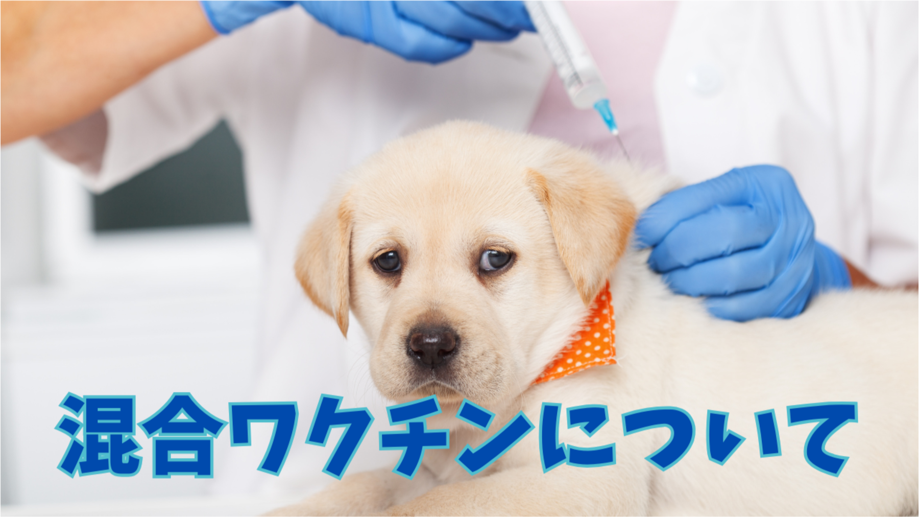 混合ワクチンについて